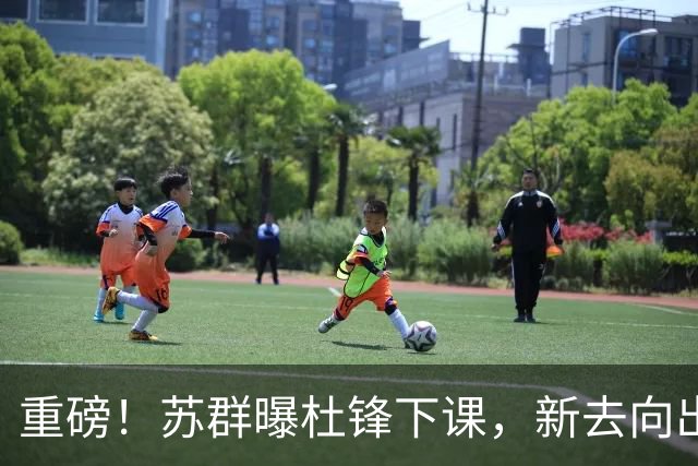 重磅！苏群曝杜锋下课，新去向出炉，球迷喊话杨鸣接手，能行吗？